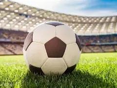 尚雯婕遭黑,粉恶意诽谤,未道歉,bwin体育平台,bwin体育官方网站,bwin体育登录入口,bwin体育app下载