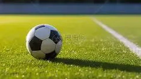 刘亦菲独占VOGUE 20周年封面C位，杨幂宋佳张小斐同框助阵！